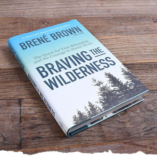 Braving the Wilderness transformation book